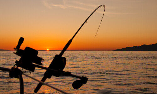 (Bild: James Wheeler, Unsplash)