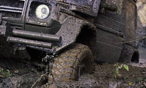 (Bild: Shutterstock)