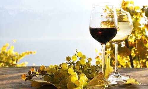 (Bild: Shutterstock)