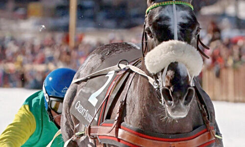 Skikjöring Rennen, White Turf 2023, St. Moritz (Bild: Whiteturf)