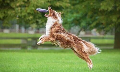 (Bild: Shutterstock)