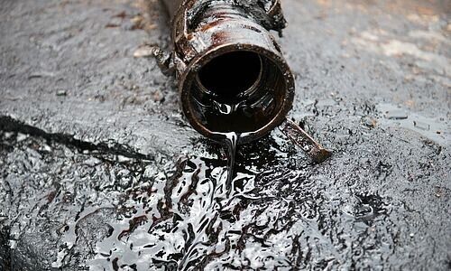 (Bild: Shutterstock)