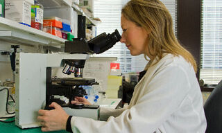 (Bild: NCI, Unsplash)