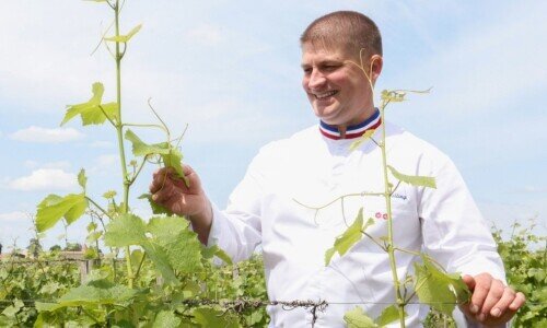 Man nennt ihn den Winzer-Chef: Jérôme Schilling. (Bild: Jean-Marc Lhomer, zVg)