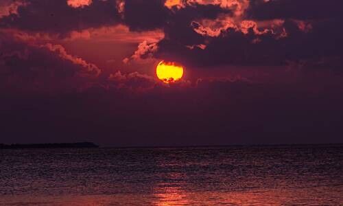 (Bild: Unsplash / Javardh)