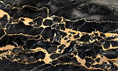 Goldvein@shutterstock.com