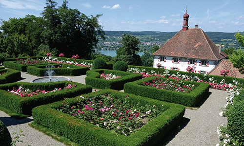 Adv LGT Academy 500 122