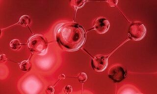 (Bild: Chuttersnap via Unsplash)