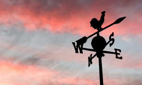 (Bild: Nicole Wilcox / Unsplash)