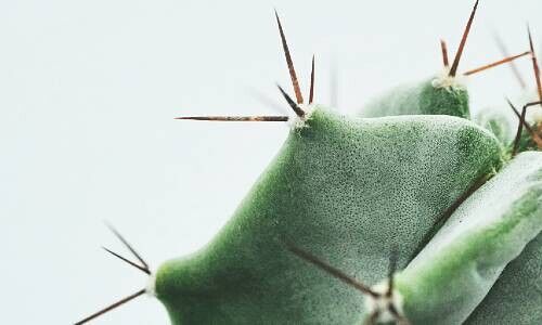 (Bild: Feey / Unsplash)