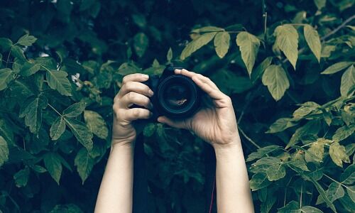 (Bild: Shutterstock)