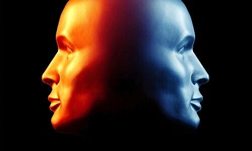 (Bild: Shutterstock)