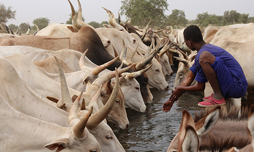 Adv Union Investment Senegal 500