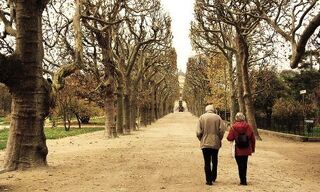 Die Administration der Schweizer Altersguthaben gibt zu reden. (Bild: pixabay)