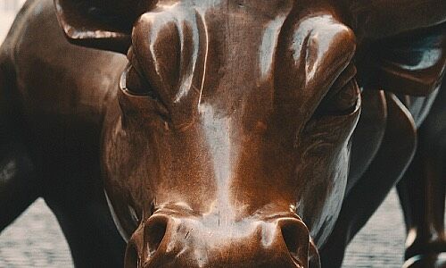 Wall-Street-Bulle (Bild: Alec Favale / Unsplash)