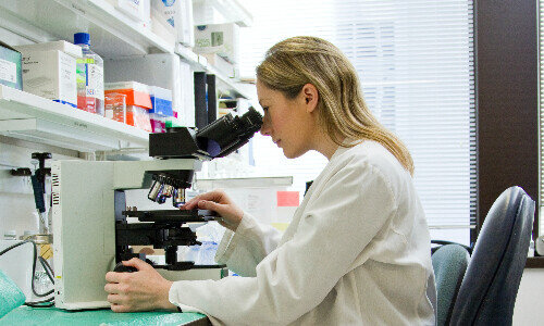 (Bild: NCI, Unsplash)