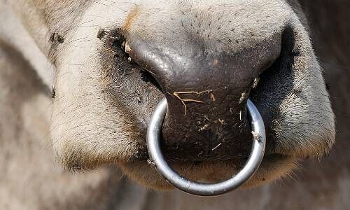 (Bild: Shutterstock)