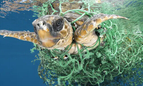 (Bild: Credit Suisse)