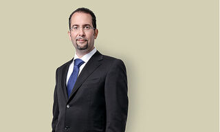 Teodoro D. Cocca, Professor für Asset und Wealth Management