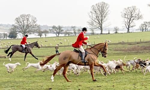 (Bild: Shutterstock)