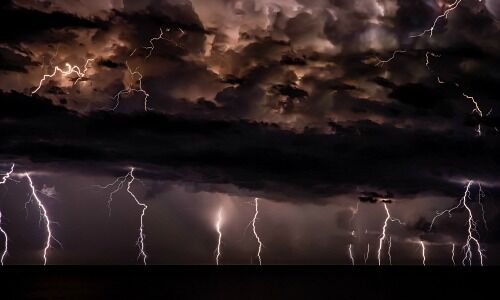 (Image: Josep Castells, Unsplash)