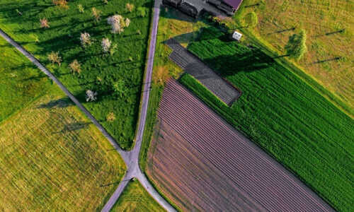 (Bild: Unsplash / Ricardo Gomez Angel)