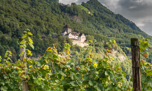 hofkellerei 2 500x300