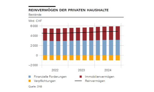 snb reinvermögen s