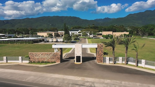 odag ctshop domrep tabom 001