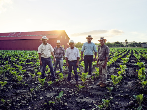 odag ctshop domrep tcult tofarm 005